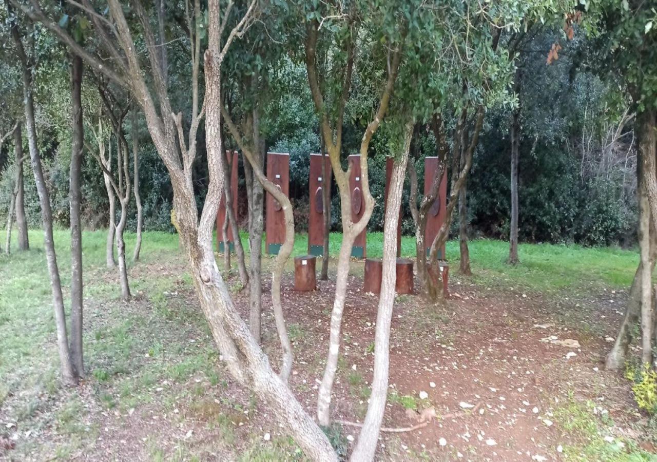 Apartmani Natasa Vrsar Luaran gambar