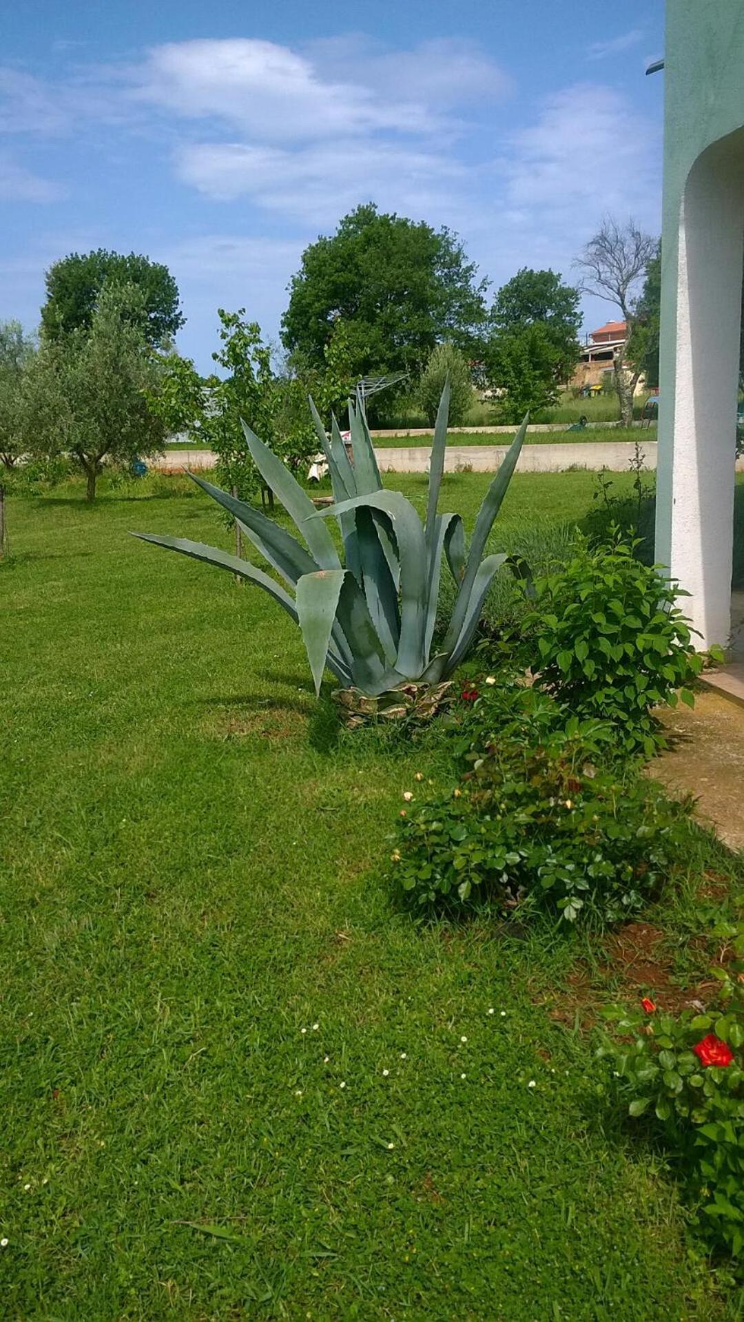 Apartmani Natasa Vrsar Luaran gambar